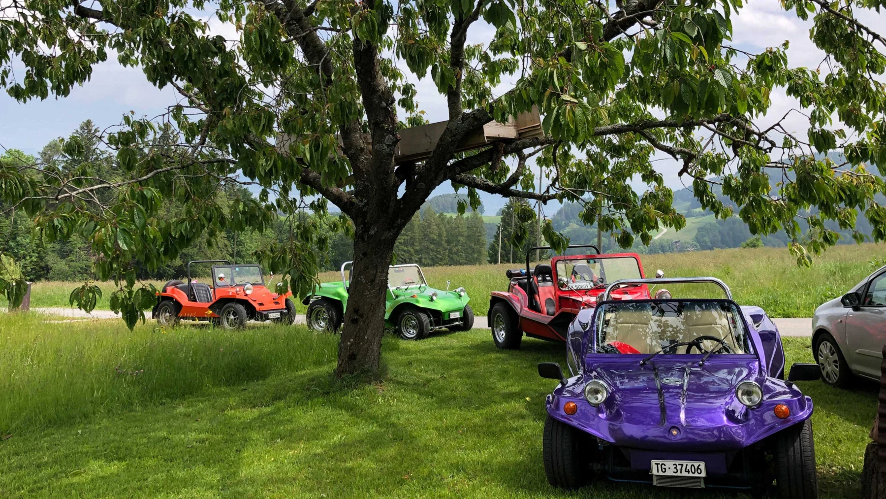 Unsere Buggys gemeinsam im Grünen